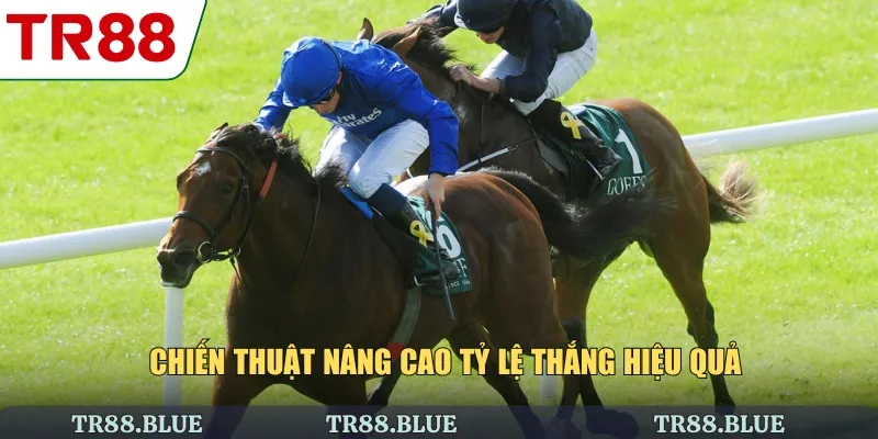 Chiến thuật nâng cao tỷ lệ thắng hiệu quả