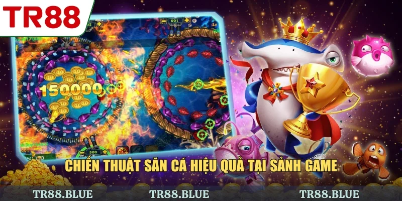 Chiến thuật săn cá hiệu quả tại sảnh game